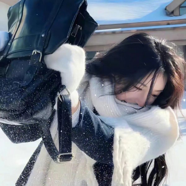 林白征空记