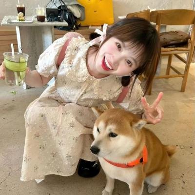 我爱驰星周