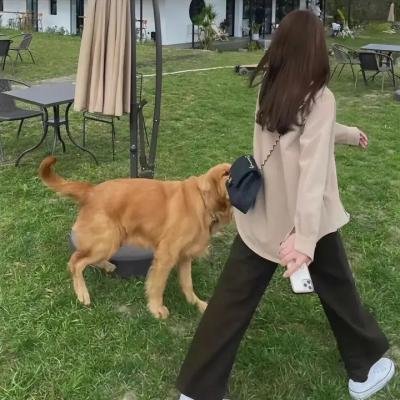 体育人家